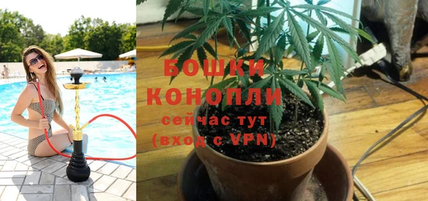 не бодяженный Новозыбков