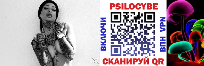 Псилоцибиновые грибы Psilocybe  блэк спрут рабочий сайт  Чишмы 